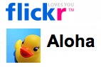 20080325_flicker02.jpg
