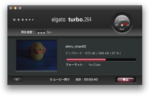 20080601_ahiru.jpg